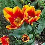 Bed & Breakfast La Mulonniere Saint-Sébastien-sur-Loire