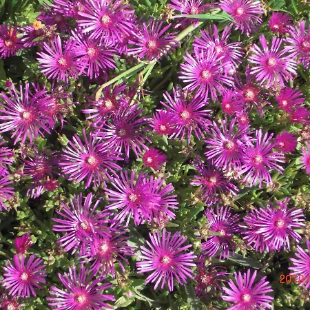 La Mulonniere Bed & Breakfast 3*