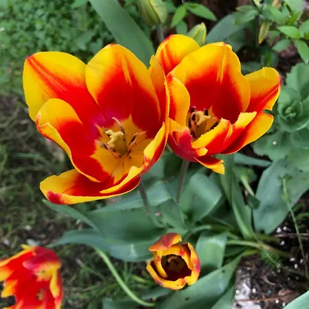 فندق مبيت وإفطار La Mulonniere Saint-Sébastien-sur-Loire