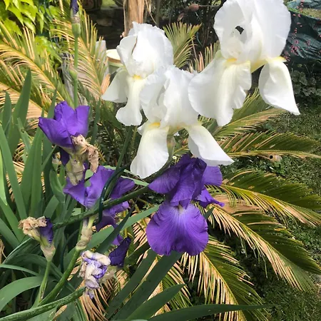 La Mulonniere Saint-Sébastien-sur-Loire