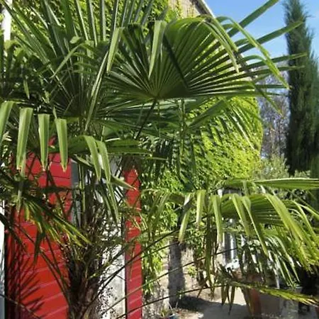 La Mulonniere Bed & Breakfast 3*