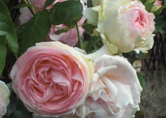 La Mulonniere Bed and breakfast Saint-Sébastien-sur-Loire