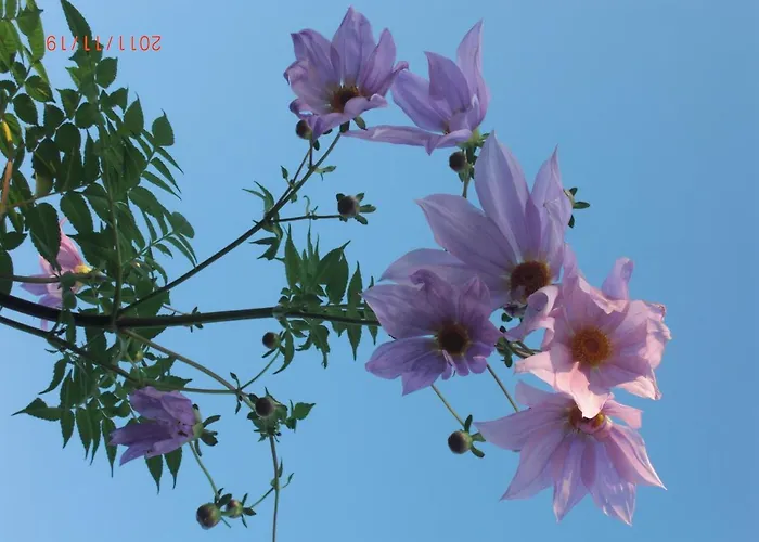 拉穆莱尼尔住宿加早餐旅馆 住宿加早餐酒店 圣塞巴斯蒂安苏尔
