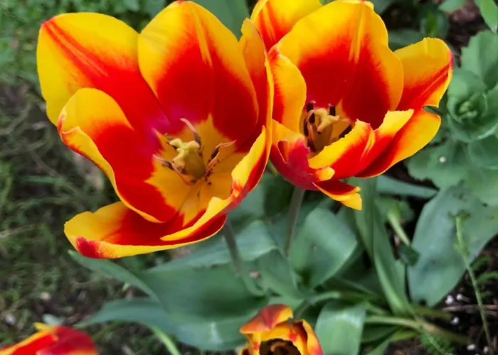 Bed and breakfast La Mulonniere Saint-Sébastien-sur-Loire